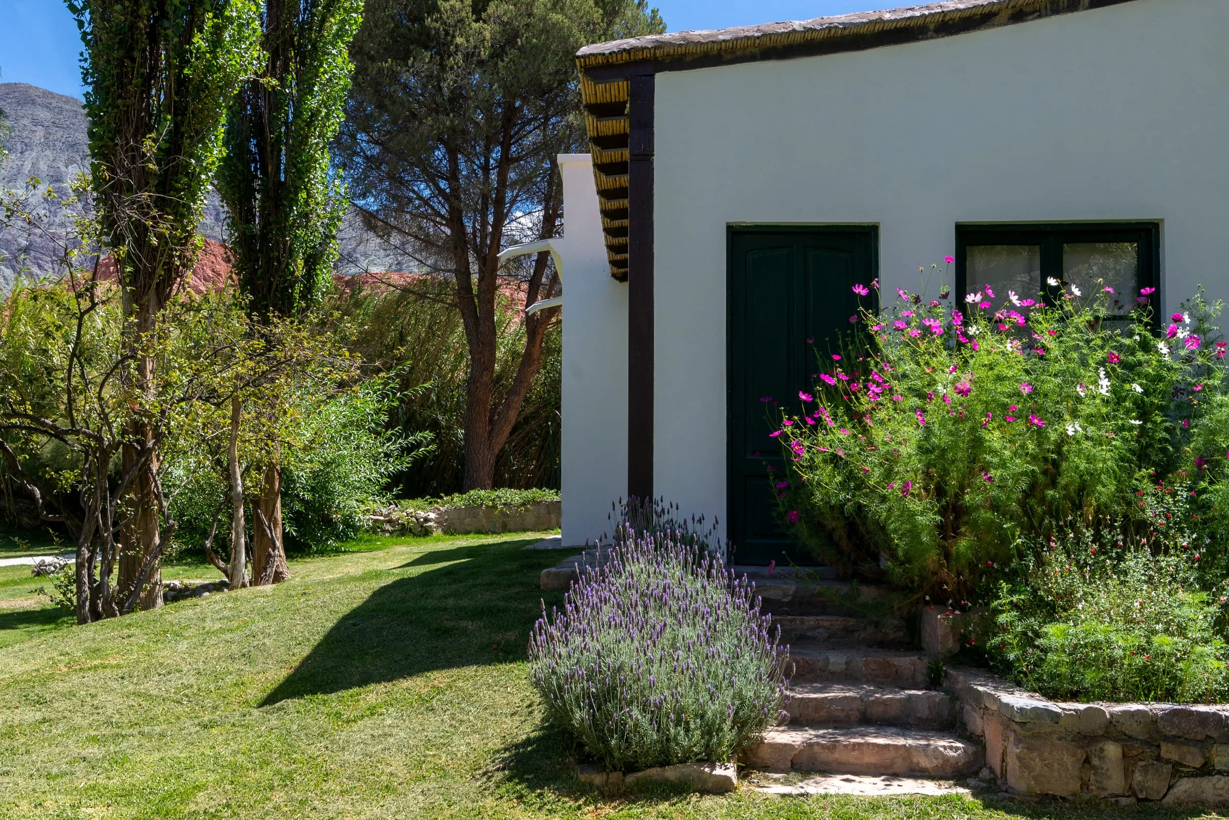 Entrada de la Casa Boutique con lavandas y escalones de piedra